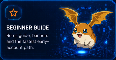 Beginner Guide