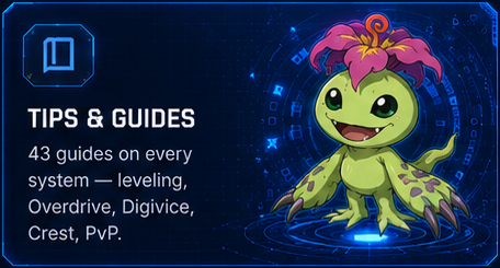 Tips & Guides