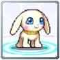 Salamon