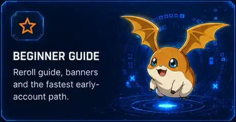 Einsteiger-Guide